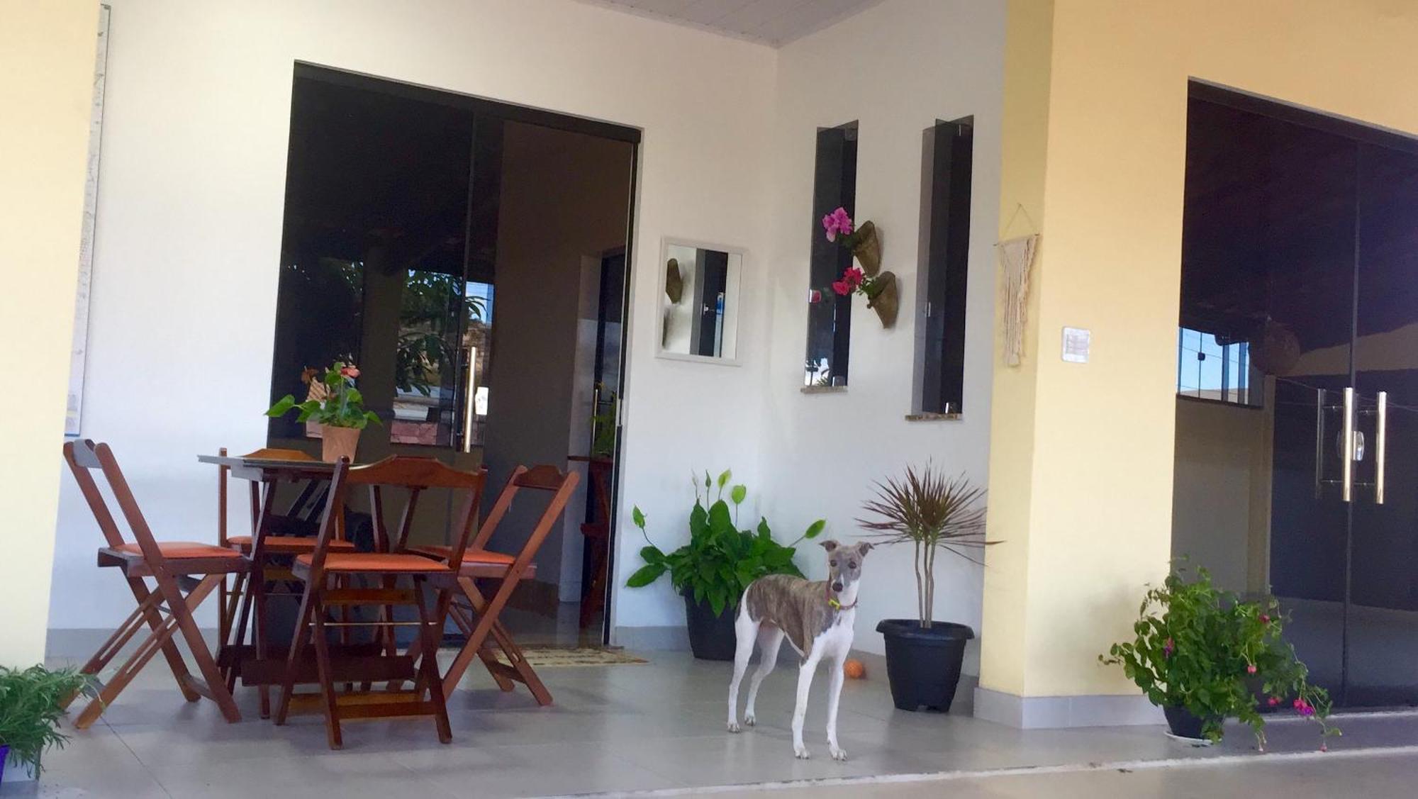Pe De Manga Hospedagem Mucugê Exteriér fotografie