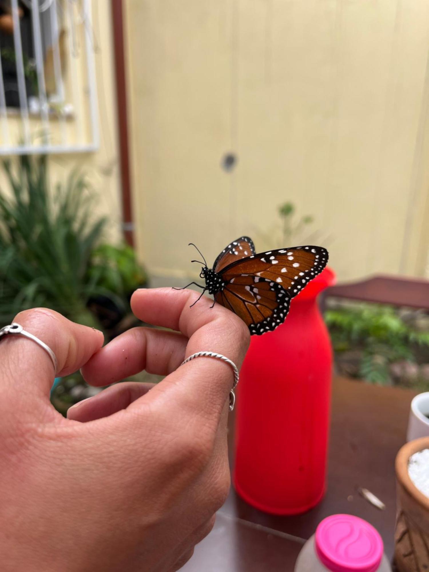 Pe De Manga Hospedagem Mucugê Exteriér fotografie